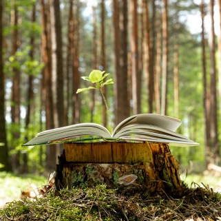 Ecologie : comment faire pour être une maison d’édition écoresponsable ? Ecologie : comment faire pour être une maison d’édition écoresponsable ?