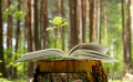 Ecologie : comment faire pour être une maison d’édition écoresponsable ?